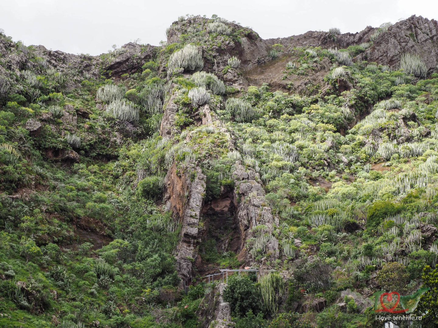 Вулканические дайки - вертикальные базальтовые сверхплотные породы, февраль 2022, хайкинг на Тенерифе