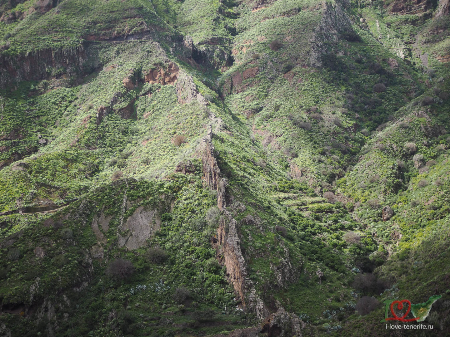 Вулканические дайки - вертикальные базальтовые сверхплотные породы, февраль 2022, хайкинг на Тенерифе